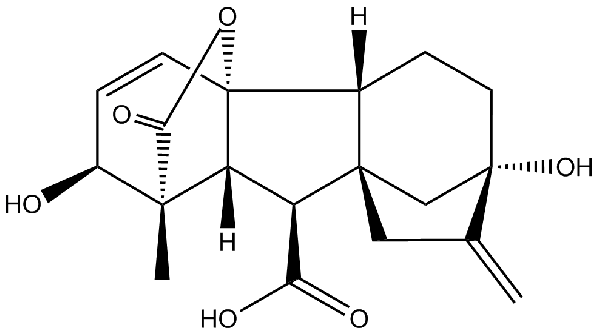 赤霉素GIBBERELLIC ACID，居然有這么神奇？